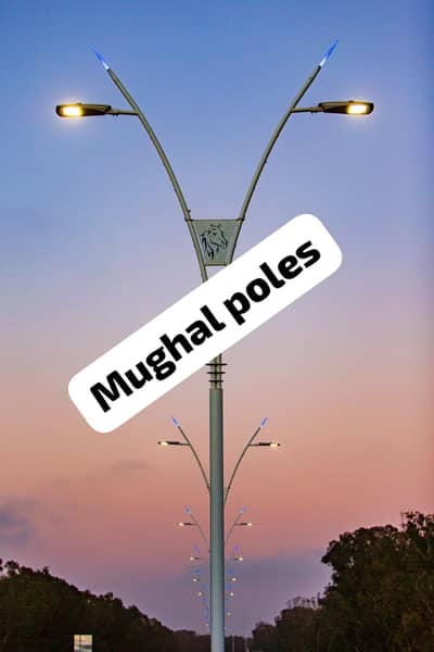 Road Lighting Pole/CCTV Camera Pole/Octagonal Pole/Fancy Street Light