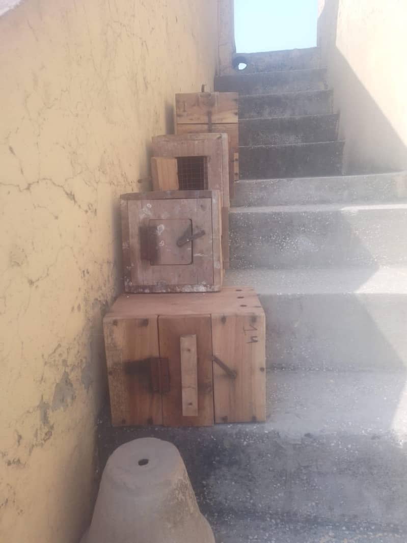 breding box 0