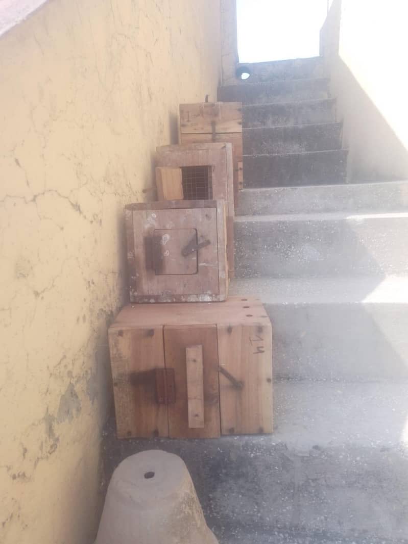 breding box 1