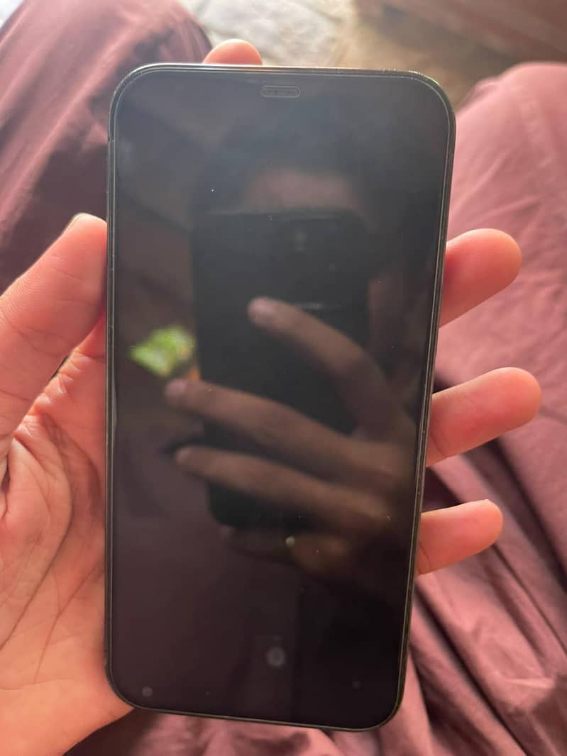 Apple iPhone 12 Pro Max 1