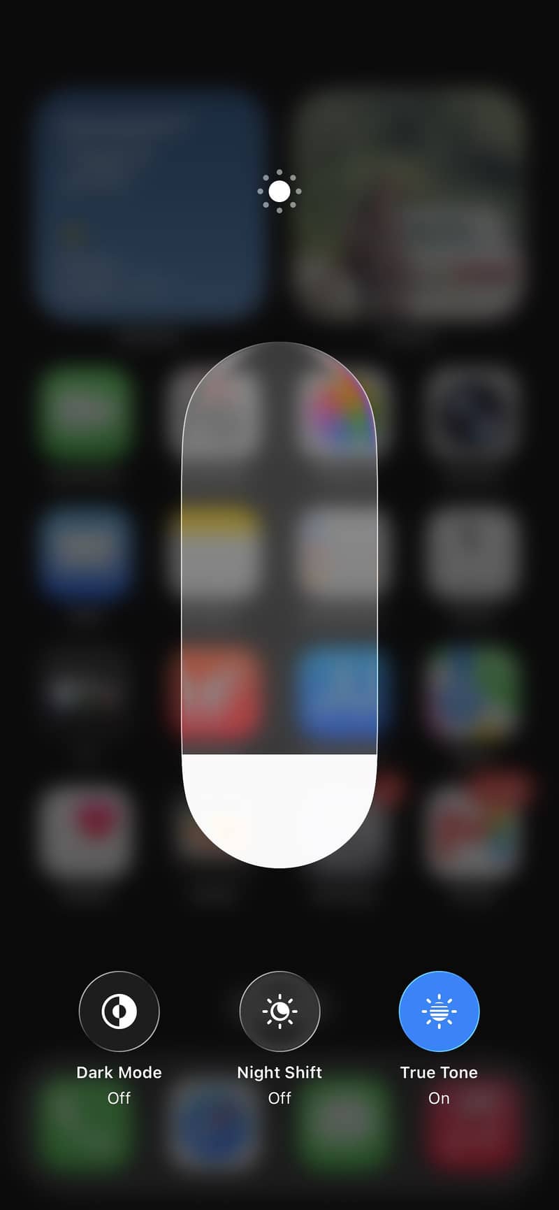 Apple iPhone 11 Pro Max 2