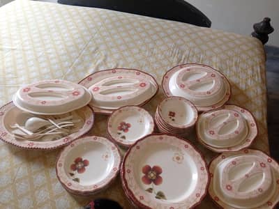 Beautiful Dinner Set for Sale