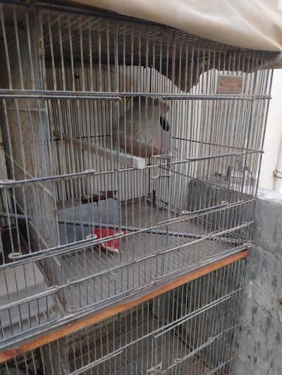 Metal cages