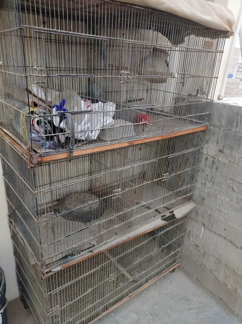 Metal cages — photo 2