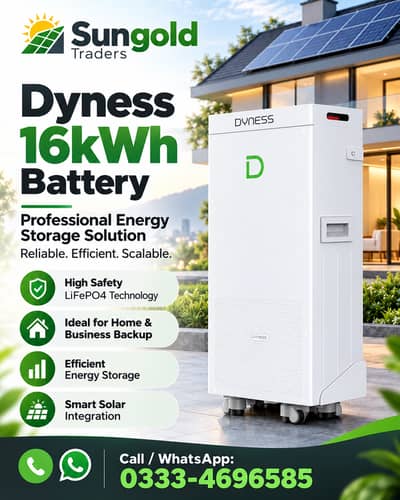 Dyness Lithium Ion LiFePo4 Battery - 16kWh - New