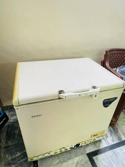 haier Freezer (03236993684)