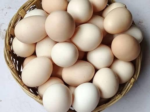 Desi/Organic Eggs 5