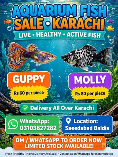 guppy fish wholesale