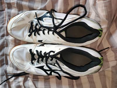 squash shoes.