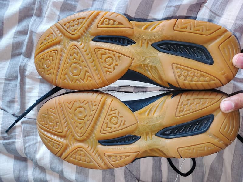 squash shoes. 1