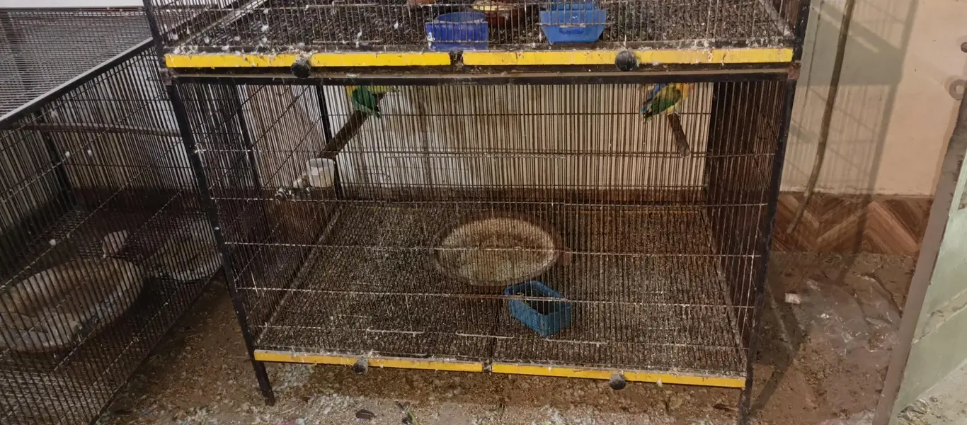 1½ 1½  2 Feet   3 Cages 2½ 2½  4  Feet  3 Cages — photo 2