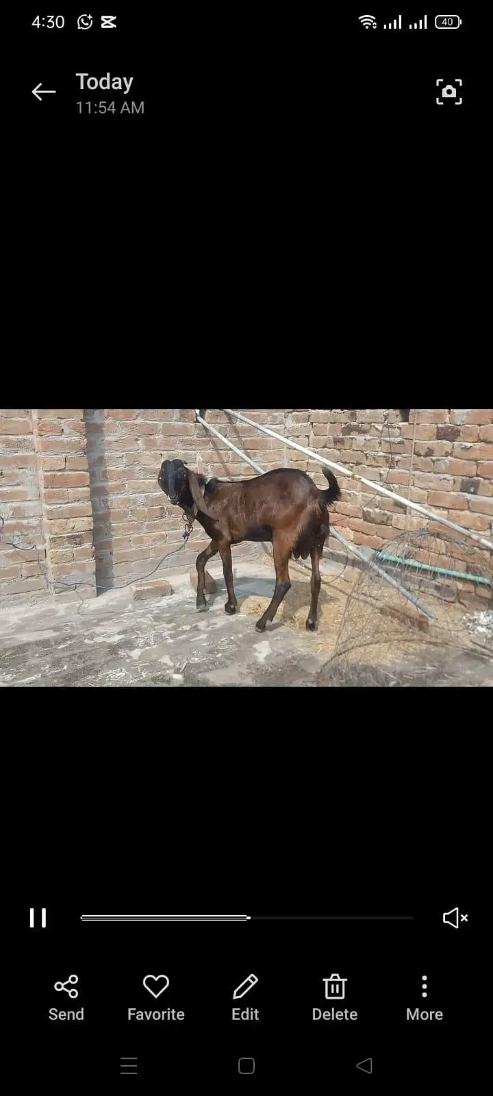 Nagra male shok wali cheez h — photo 2