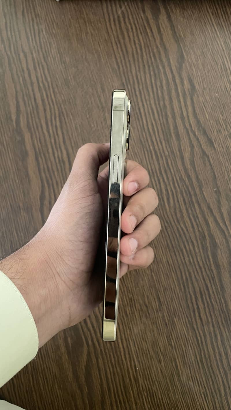 Apple iPhone 13 Pro Max 0
