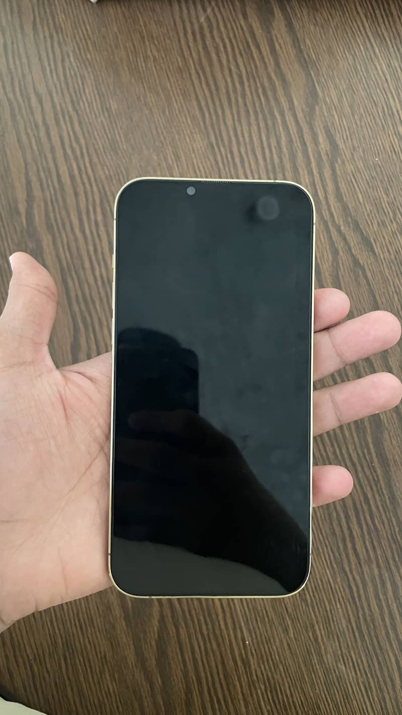 Apple iPhone 13 Pro Max 1
