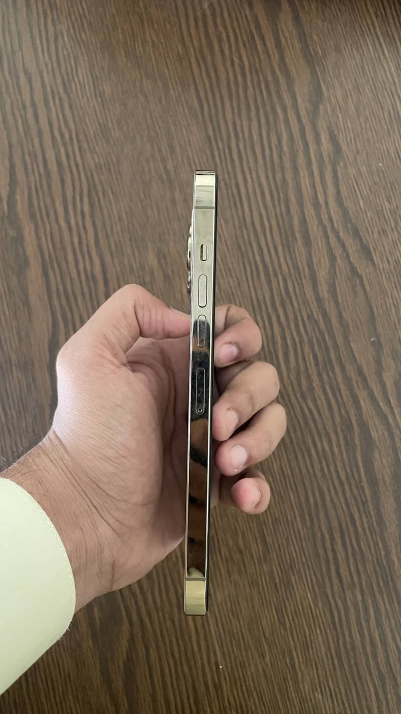 Apple iPhone 13 Pro Max 3