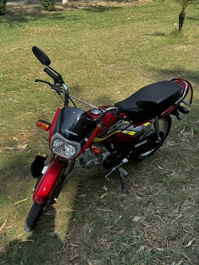 CD70 Dreamer Brand New