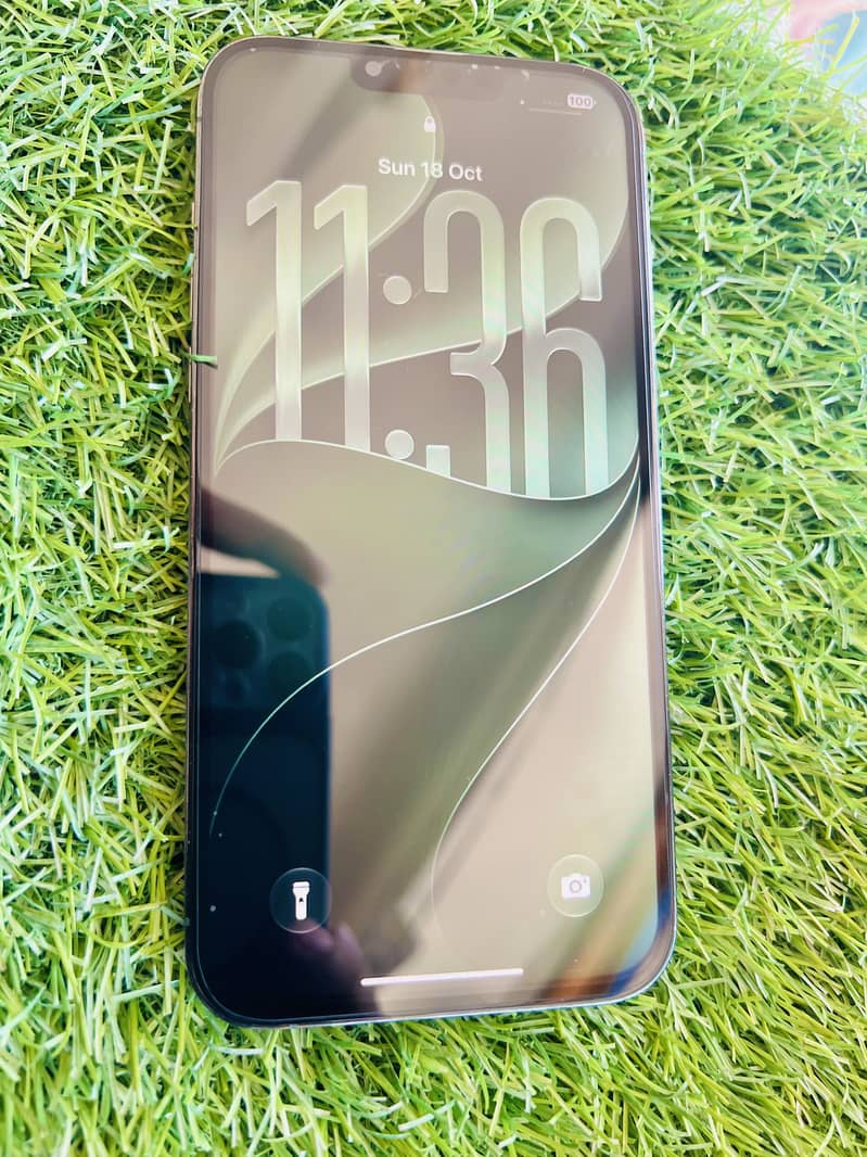 Apple iPhone 13 Pro Max 6