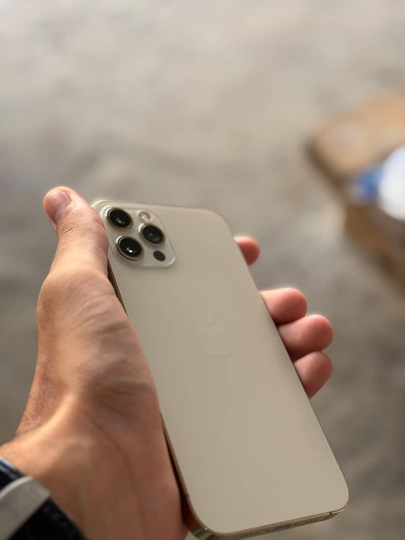 Apple iPhone 12 Pro 1