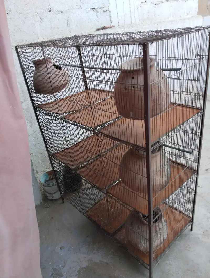 6 portion cage — photo 4