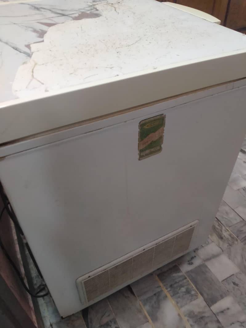 Waves Double Door Deep Freezer 1