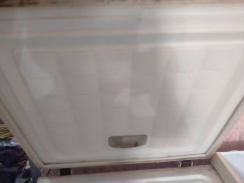 Waves Double Door Deep Freezer 4