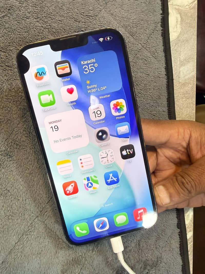 Apple iPhone 13 Pro Max 1