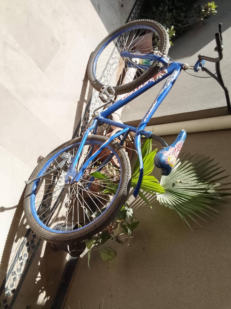 Bicycles 1