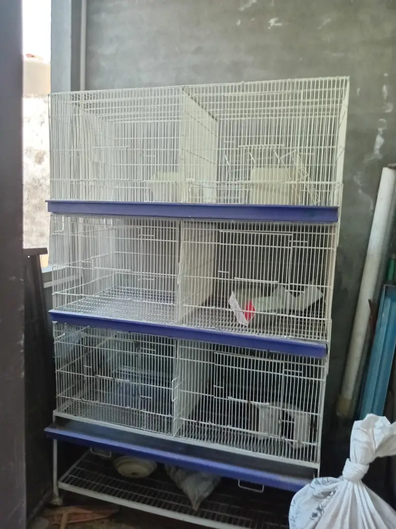 cage for sale — photo 2