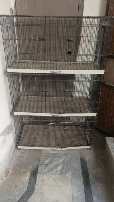 3 portion cage for sale