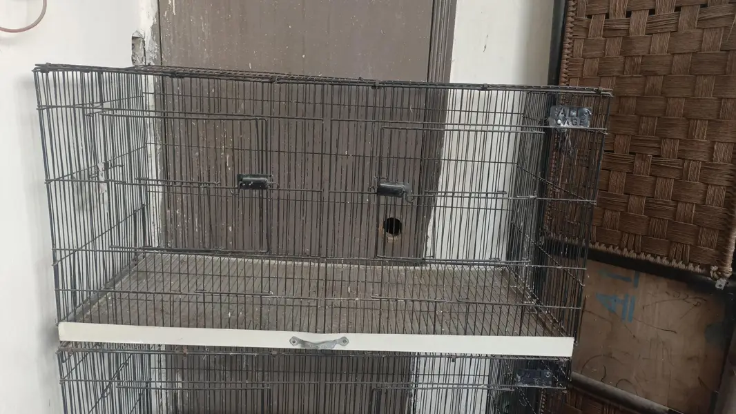 3 portion cage for sale — photo 2
