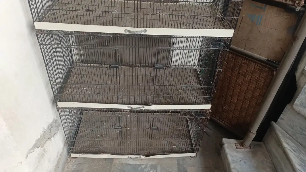 3 portion cage for sale — photo 3