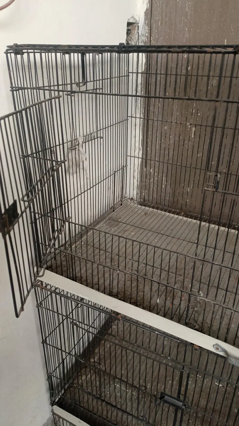 3 portion cage for sale — photo 4