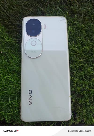 vivo v40 256 GB