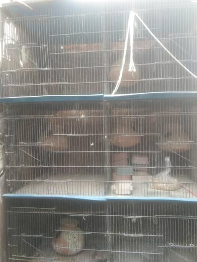 birds cage for sale