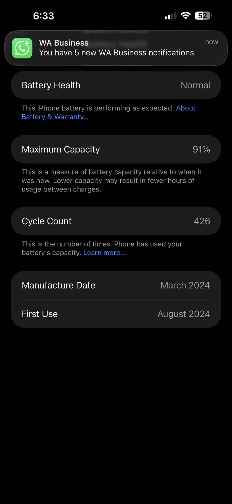 Apple iPhone 15 Pro Max 1