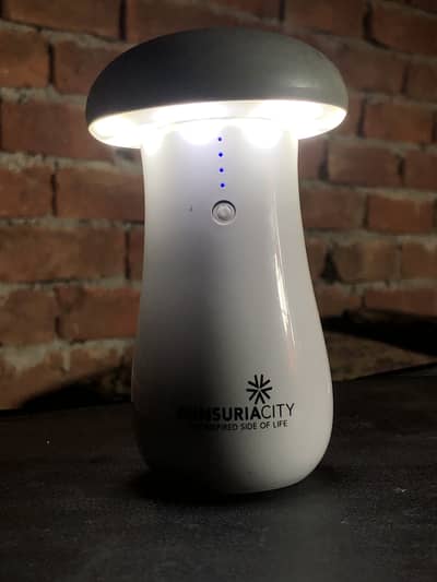 2 in 1 Mini Lamp And Power Bank