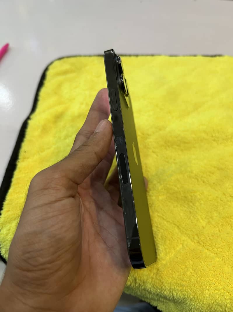 Apple iPhone 13 Pro Max 1