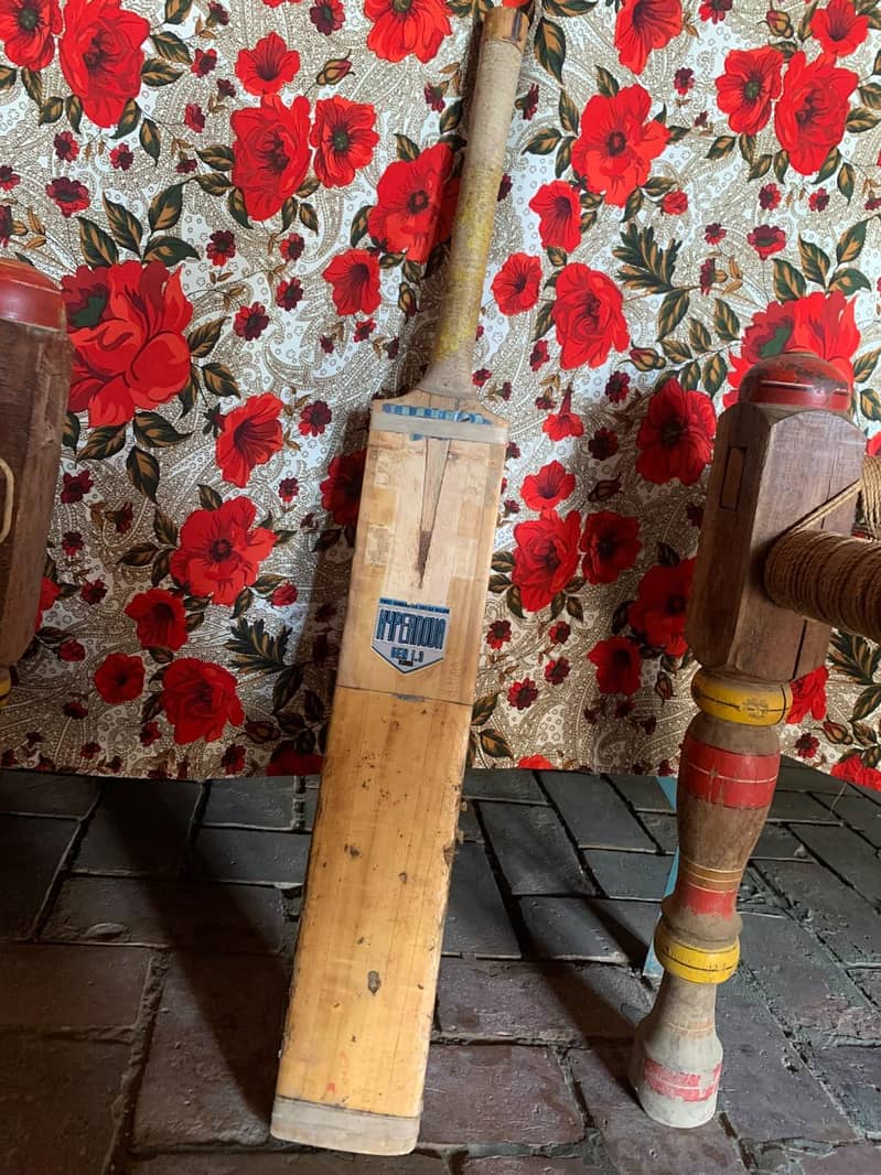 cricket kit 5