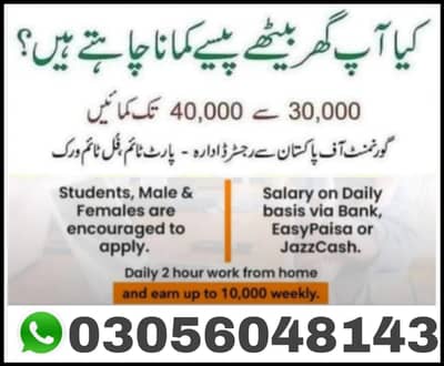 boys and girls online jobs available, data entry , assignment work ,