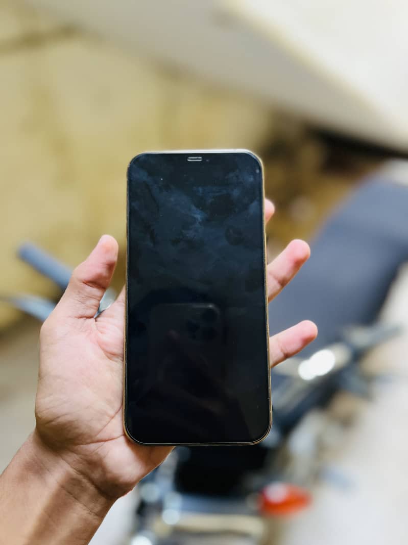 Apple iPhone 12 Pro Max 1