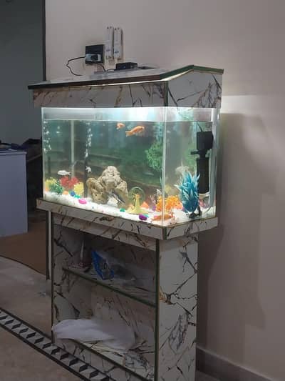 Aquarium with wooden stand