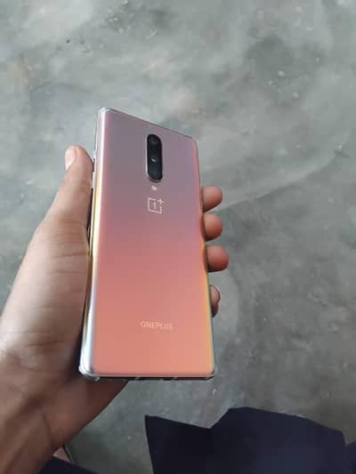 oneplus 8