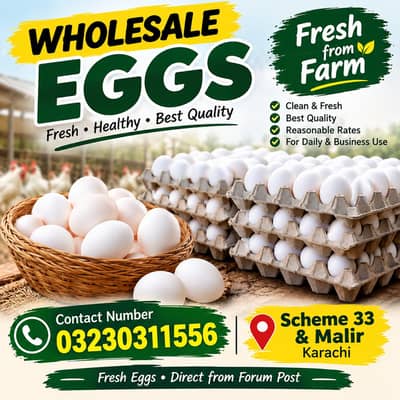 Fresh Farm Eggs Wholesale Rates | Scheme 33 & Malir Karachi