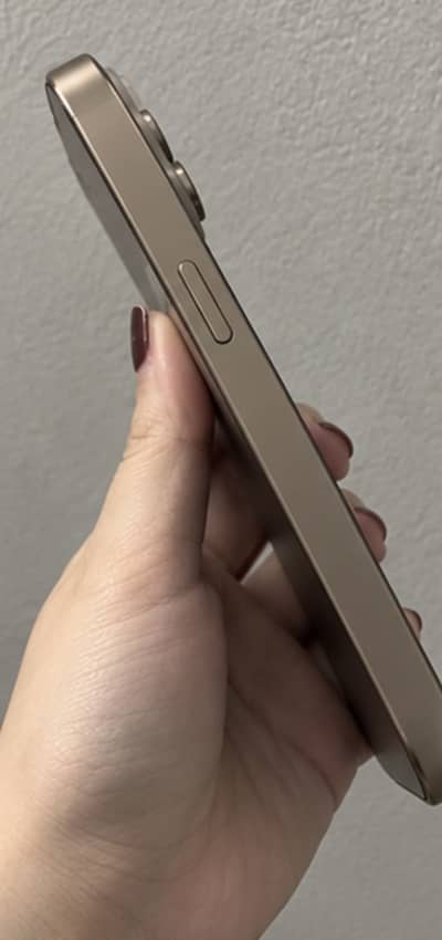 Apple iPhone 16 Pro Max