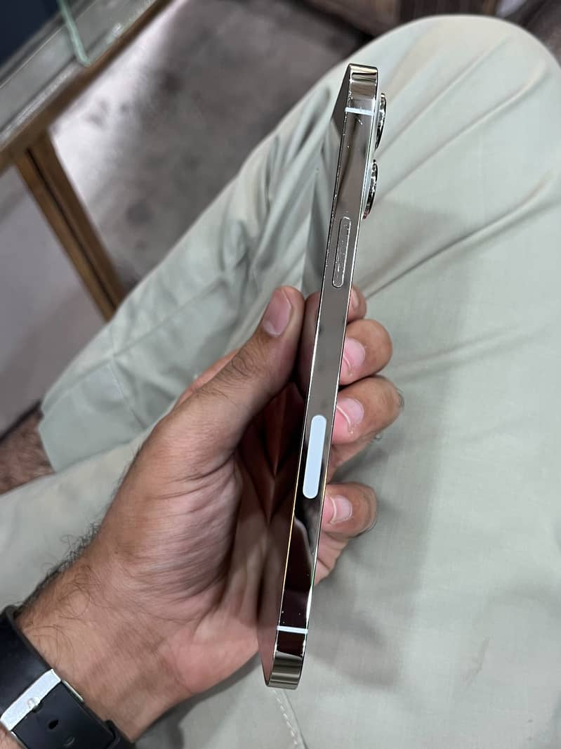 Apple iPhone 13 Pro Max 0