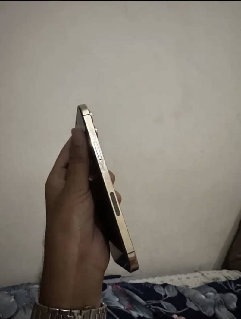 Apple iPhone 12 Pro Max 2