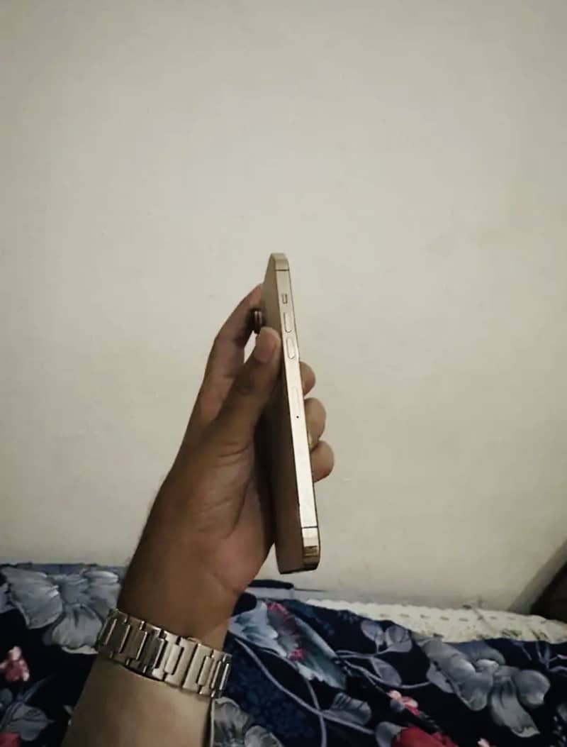Apple iPhone 12 Pro Max 3