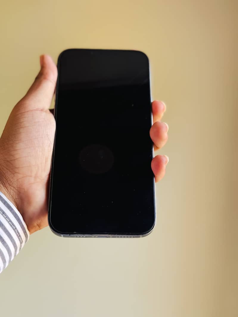 Apple iPhone 13 Pro Max 2