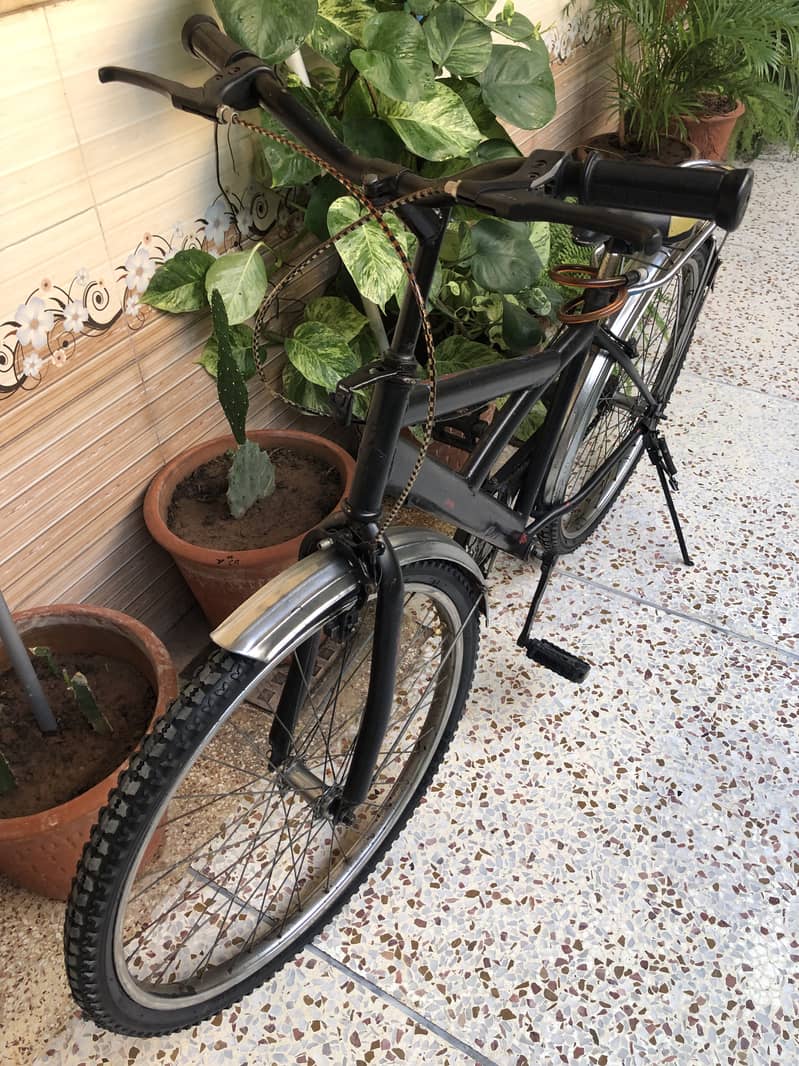 Bicycle sohrab 0