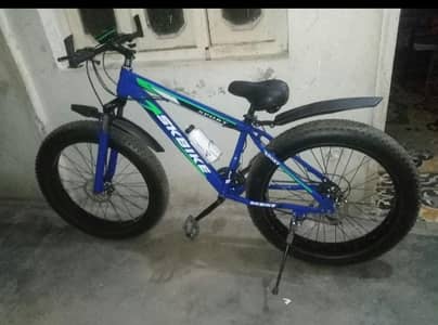 SK bike fate cycle